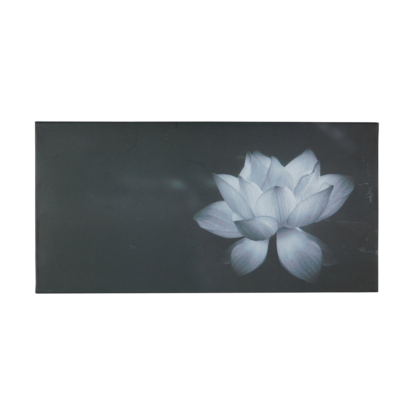 Blue Lotus Matt Envelop For Rakhi Special | Grownex Packaging | Envelope
