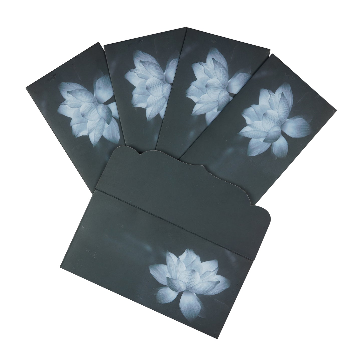 Blue Lotus Matt Envelop For Rakhi Special | Grownex Packaging | Envelope