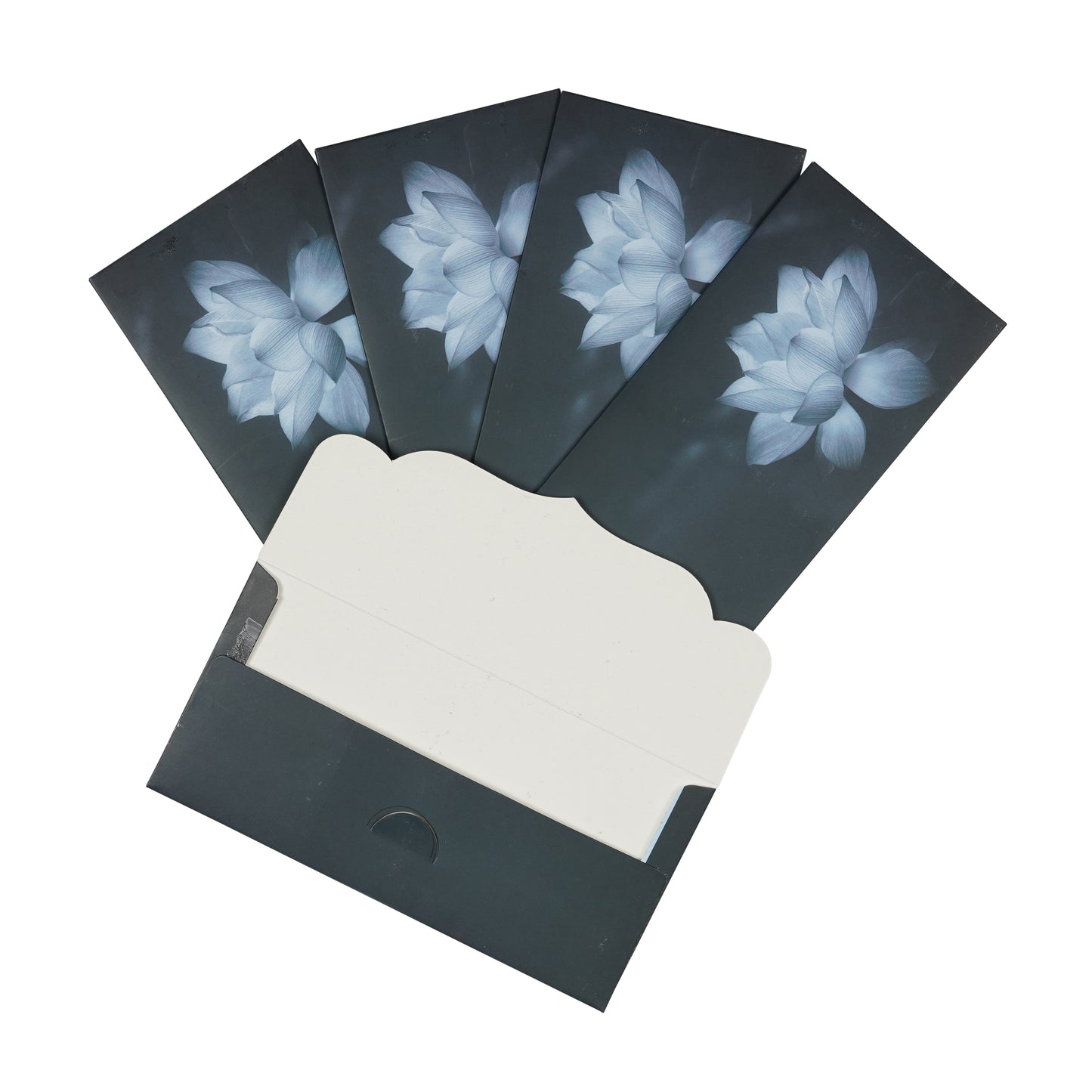 Blue Lotus Matt Envelop For Rakhi Special | Grownex Packaging | Envelope