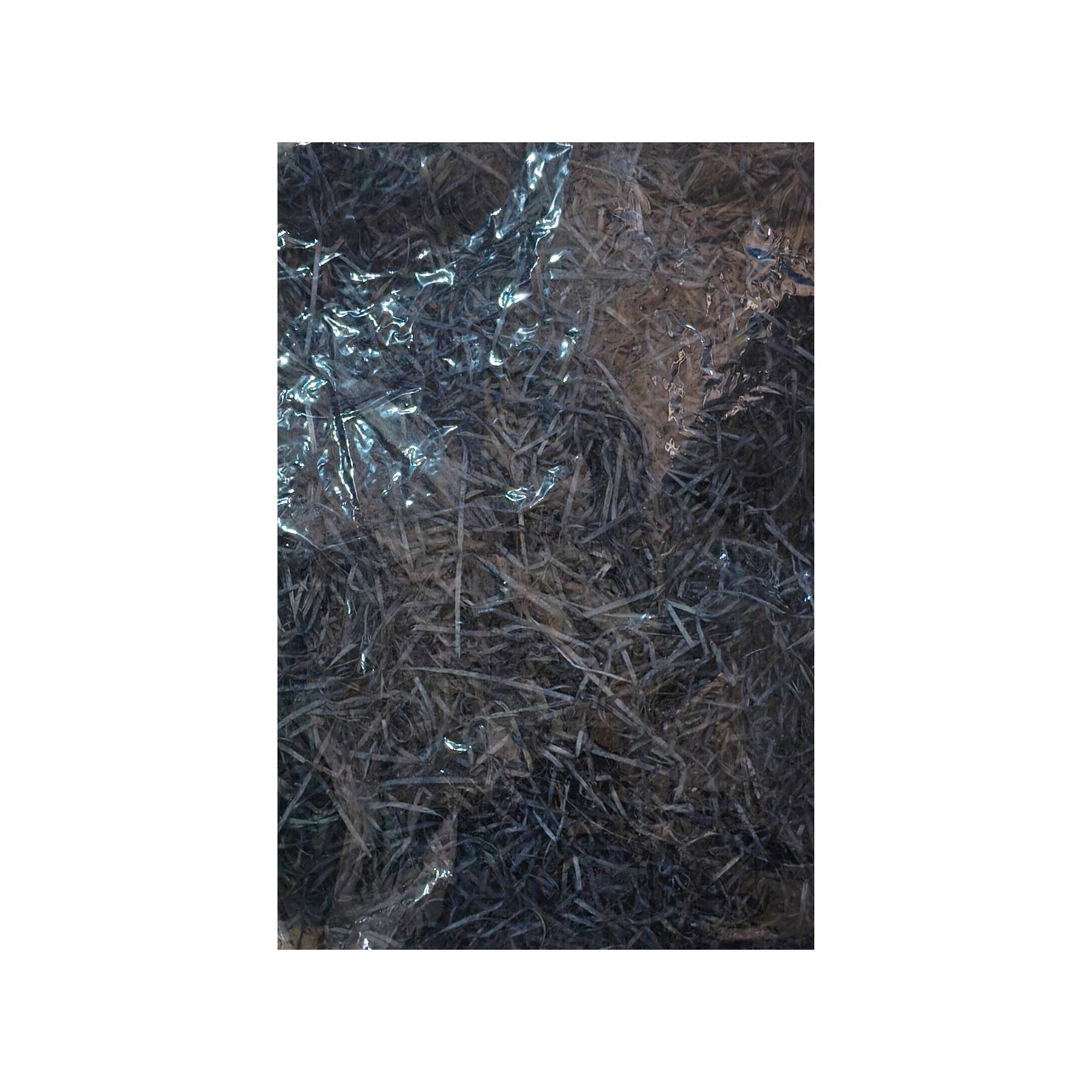 Olive Green Cooler Grass 100gm | Decorative Shredded Wooden Filler for Gift Boxes & Hampers | Grownex Packaging |