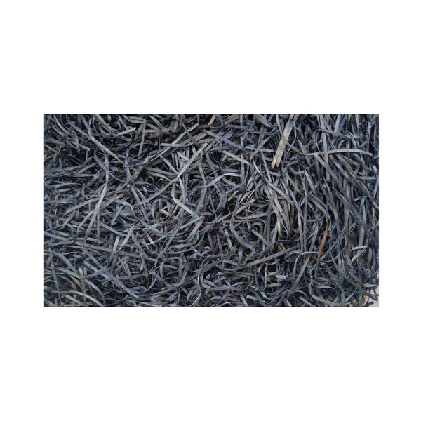Olive Green Cooler Grass 100gm | Decorative Shredded Wooden Filler for Gift Boxes & Hampers | Grownex Packaging |