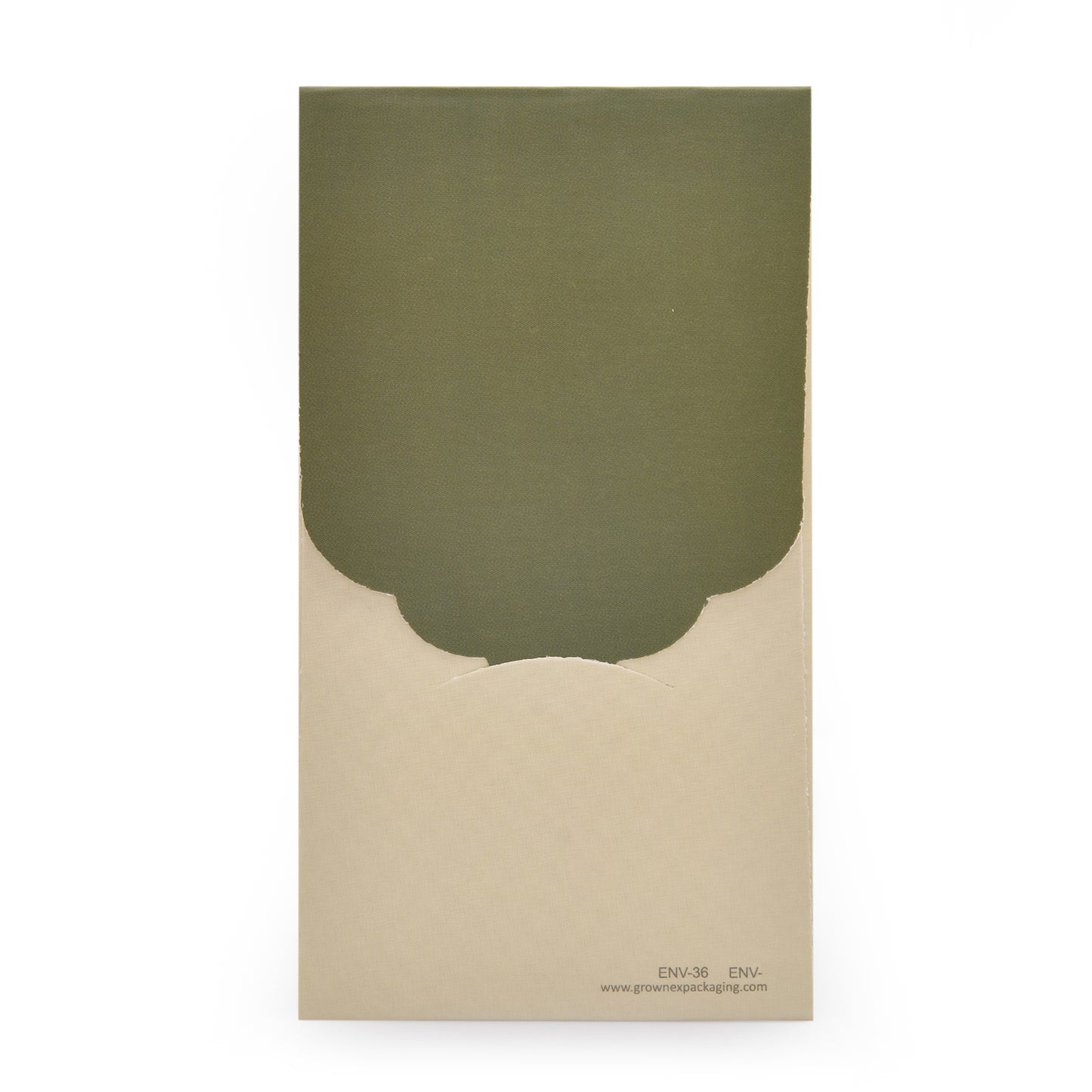 Light Green Mughal Dome Elephant Envelope