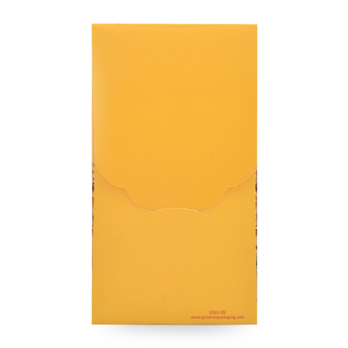 Raj Darbar Yellow Royal Elephant Palace Envelope